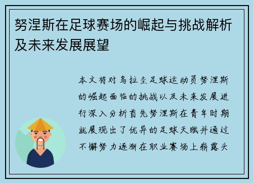 努涅斯在足球赛场的崛起与挑战解析及未来发展展望
