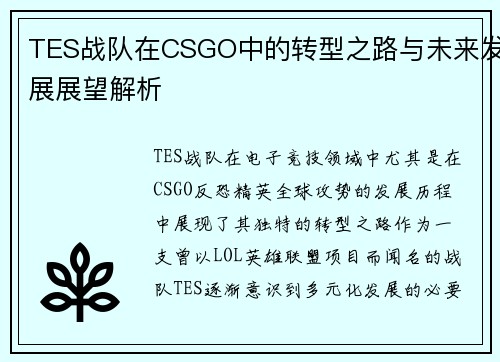 TES战队在CSGO中的转型之路与未来发展展望解析